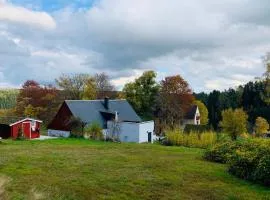 Auszeit im Waldidyll