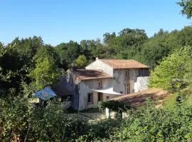 Grand gîte dans son écrin de Nature