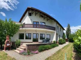 Casa Andreea. Cheerful 4-bedroom villa – tani hotel w mieście Bod