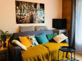 Appartement vue Montblanc 5mn piste1