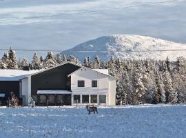 Lapland Happiness Skistar 201, leilighet i Äkäslompolo