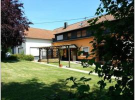 Ferienwohnung *Alte-Schreinerei* KLASSEN, pet-friendly hotel in Wawern