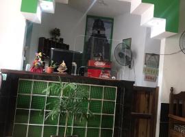 Green Monkey Hostel, hotel in Flores