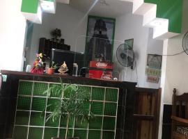Green Monkey Hostel, hostel σε Flores