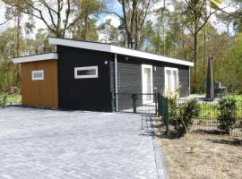 Modern chalet for the disabled, at the forest, hotel a Oldebroek
