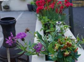 Mountainview, hotel a Ballyward