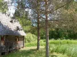 Pähnamäe metsamajake