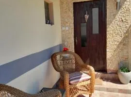 Charming house "Luisi" in green garden Maribor 75m2