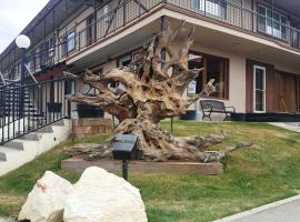 Bristlecone Motel, hotel sa Ely