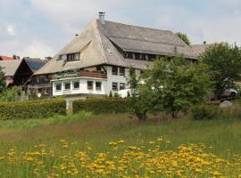 Pension Wiesengrund, hotel Schluchseeben