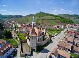 Burg Apartments Meschen