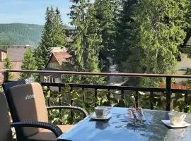 Apartman Zlaja Vlašić