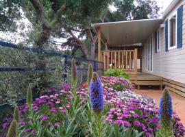 Camping Roca Grossa, campsite in Calella