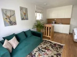 Apartment Bandaron