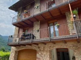 La Masera Holiday - Vigneto