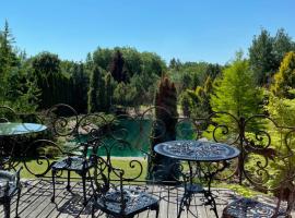 Pool Villa with japanese garden, hotel near Kaunas Botanical Garden, Kaunas