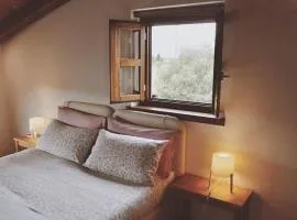 Casa Griunit