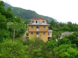 Guest house polaris