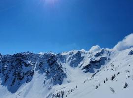 Haus Enzian Apartments، فندق في كارتياسش