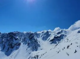 Haus Enzian Apartments