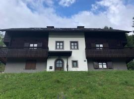 Appartement mit Hüttenflair, ski resort in Sankt Oswald