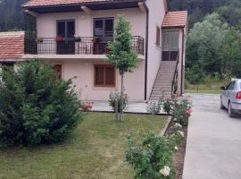 Apartman Damjanovic, hotel em Cetinje