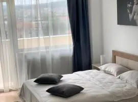 Conest Vision Studio