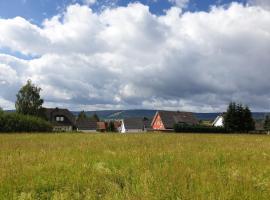 Lindner Ferienwohnungen und Doppelzimmer, hotel v destinaci Fichtelberg