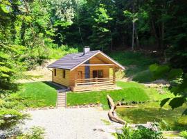 Bieszczady Domek Nad Stawem, hotel v destinaci Lesko