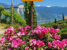 Voldersberghof, hotel v destinaci Cortaccia