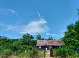 Dada House Nature Holiday