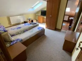 Pensiunea Olympia Nădab