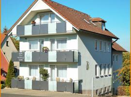 Hotel-garni 'Zum Weinkrug', casa de hóspedes em Sommerhausen