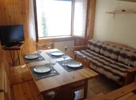 Intero appartamento in stile montagna