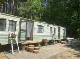 AngloJelonek