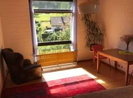 Exklusive Ferienwohnung MIRO 25 m² in ruhiger Lage
