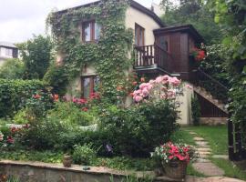 Wild Wine House, hotel u gradu Gdinja