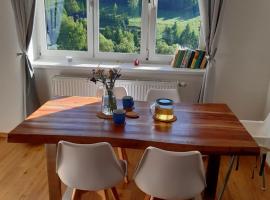 Apartmán u Kunštátského mlýna, hotel v Orlickém Záhoří