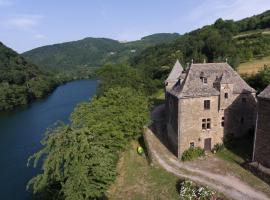 Château de Salamon - plage privée, hotel económico en Réquista