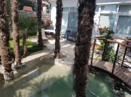 Beautiful View Apt 3