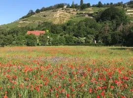 Ferienhaus Portugieser auf dem Weinberg