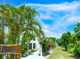 Palm Villa Ishigakijima fusu, vacation home in Ishigaki Island