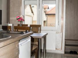 CITY APARTMENT BB, hotel di Bajina Bašta
