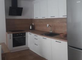 Apartamenty Irena Stare Miasto Św. Ducha, דירה באלבלונג