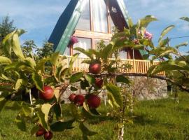 Banjska brvnara, cottage sa Vrnjačka Banja