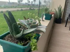 Bello departamento av del mar