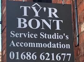 Ty'r Bont Studios, hotel in Newtown