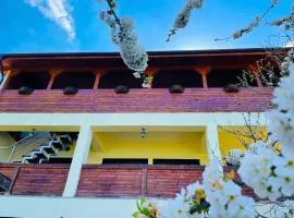 Casa Camelia