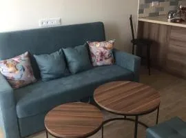 Apartment in Yerevan City Center, Pushkin