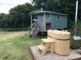 Charming Shepherds Hut with Wood Fired Hot Tub, holiday home in Charlton Musgrove